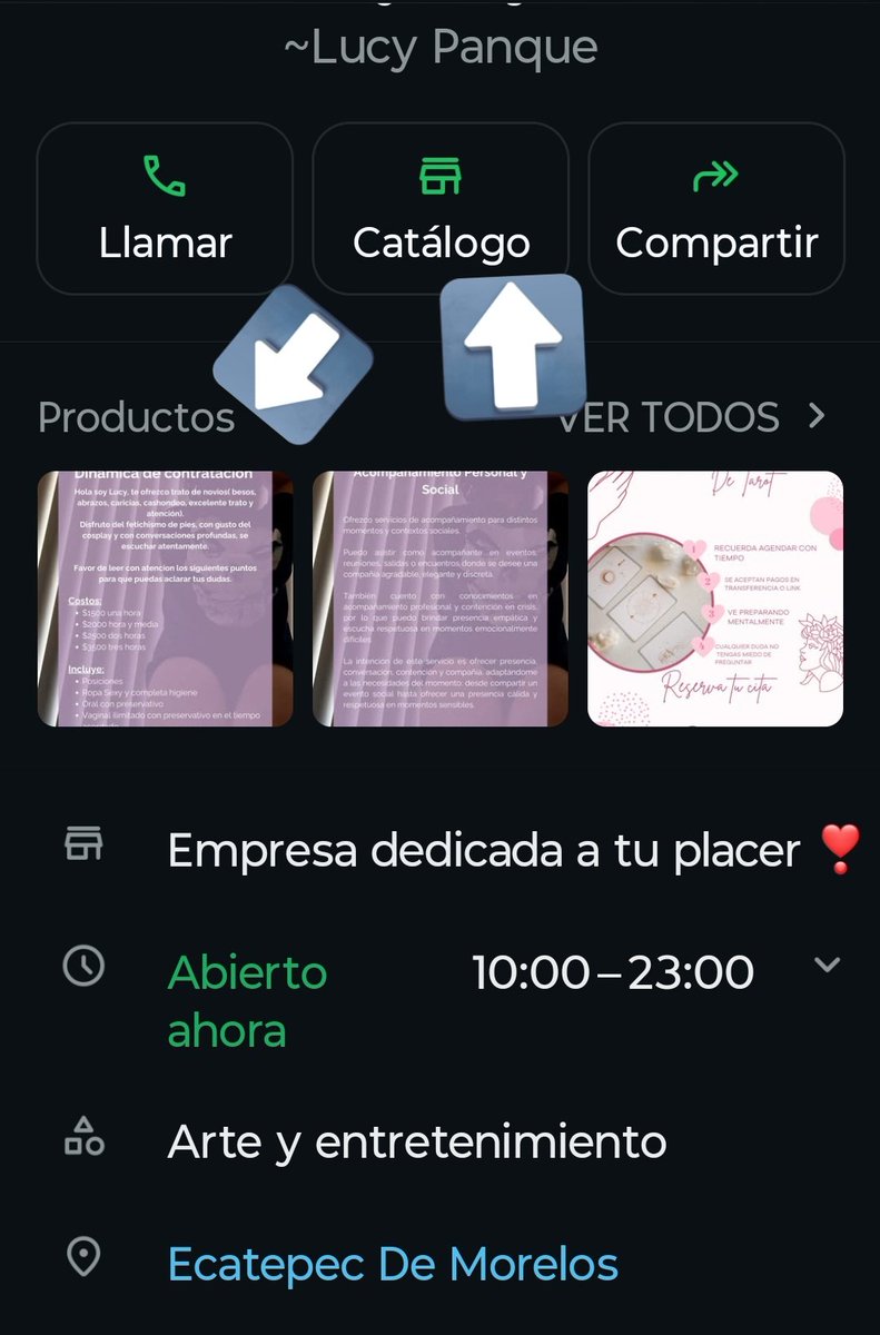 Gato_Panque tweet media