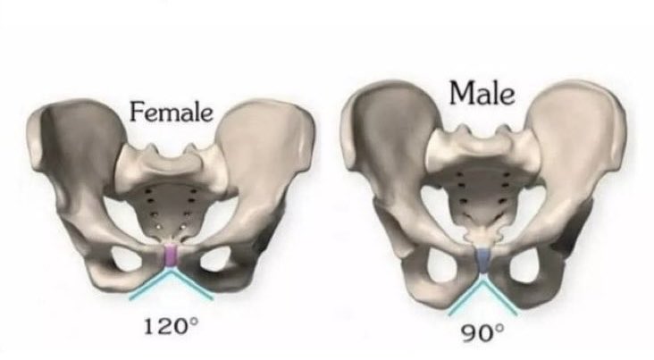 Pascal B. tweet media