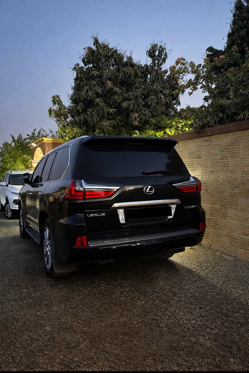 فيرميني tweet media