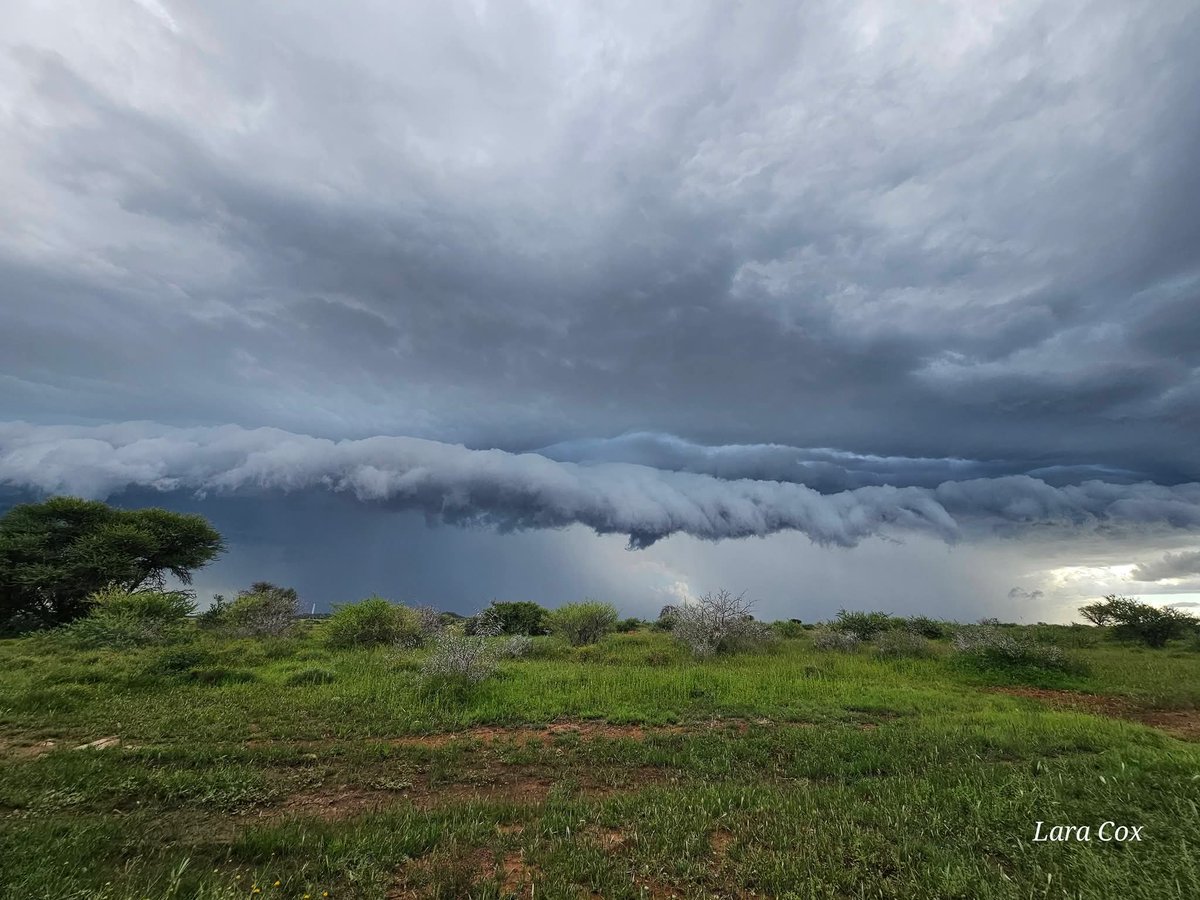 ReenvalSA tweet media