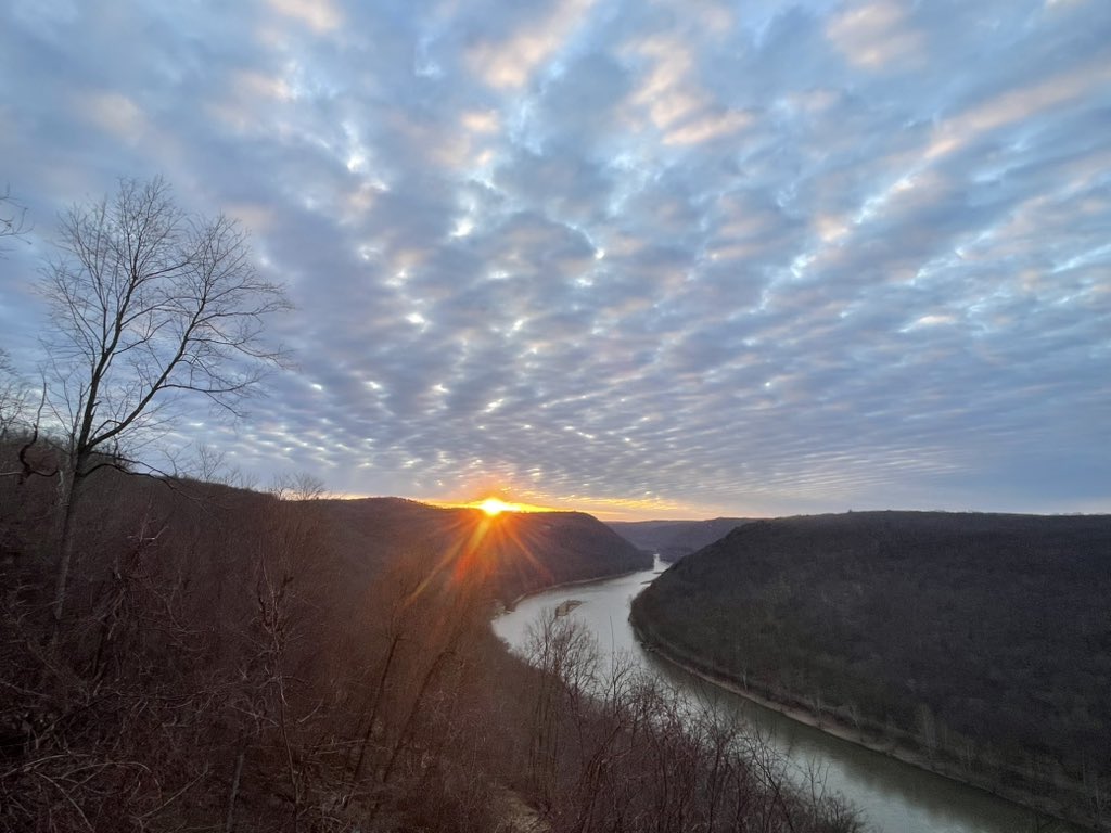 Tami Barthen tweet media