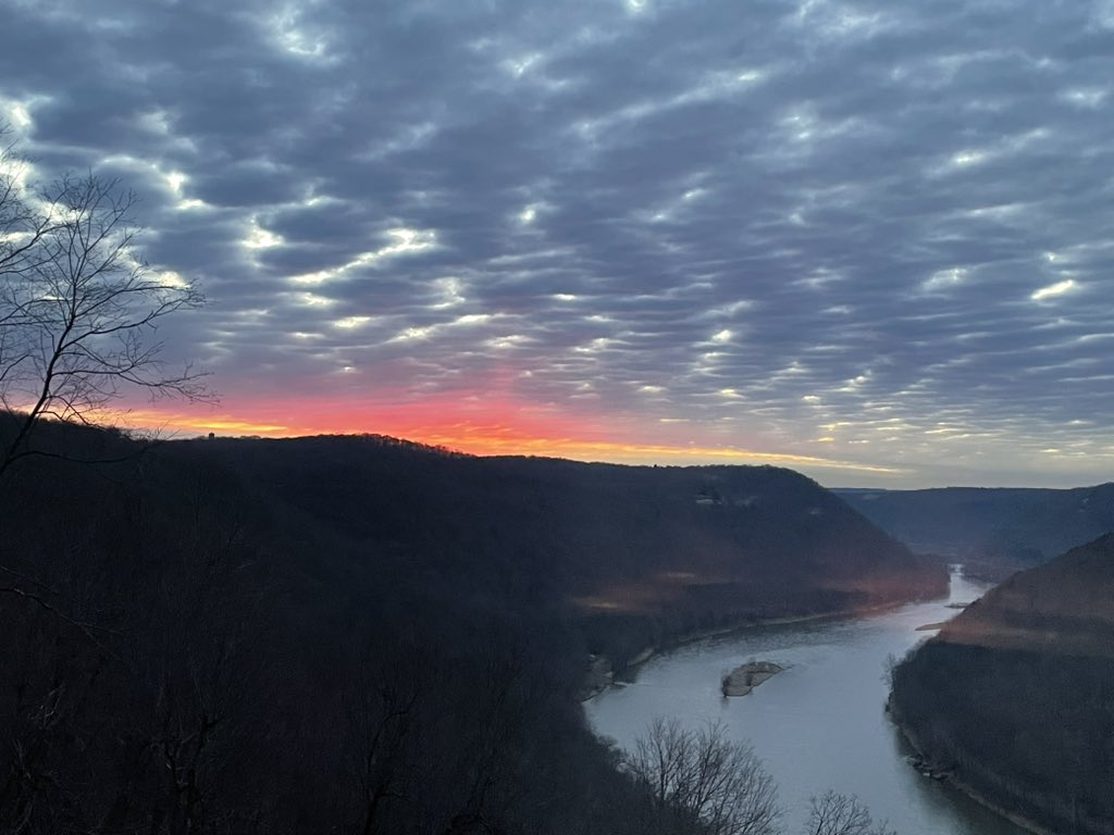 Tami Barthen tweet media