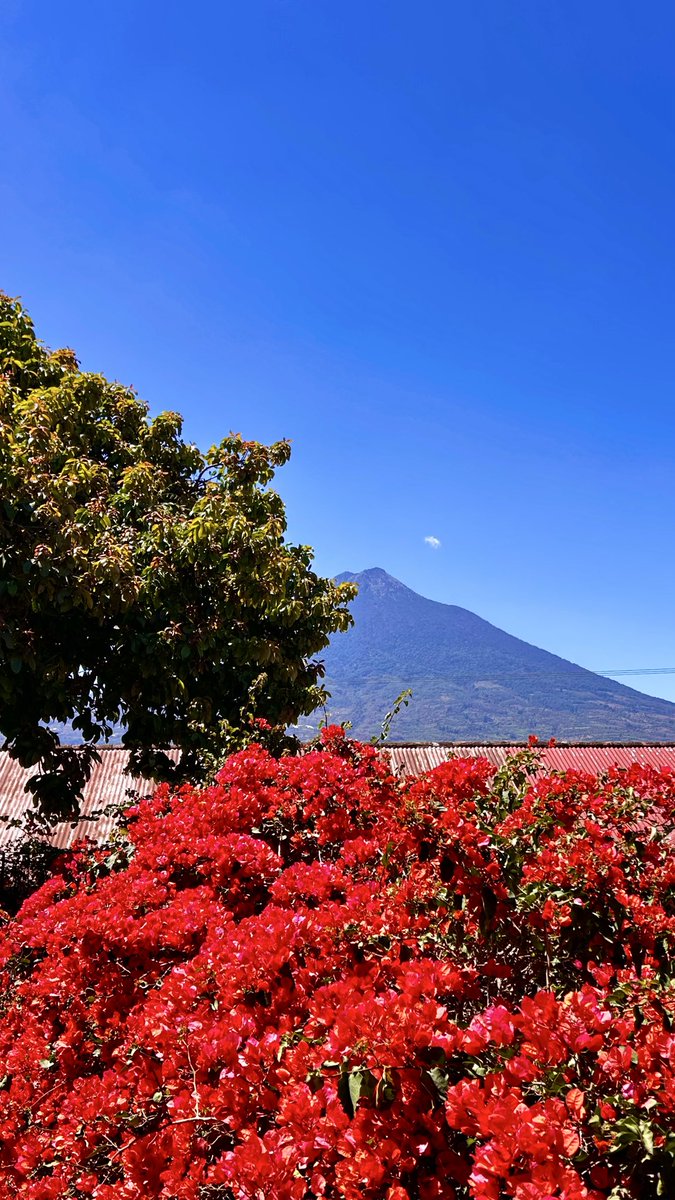 francellie de jesus tweet media