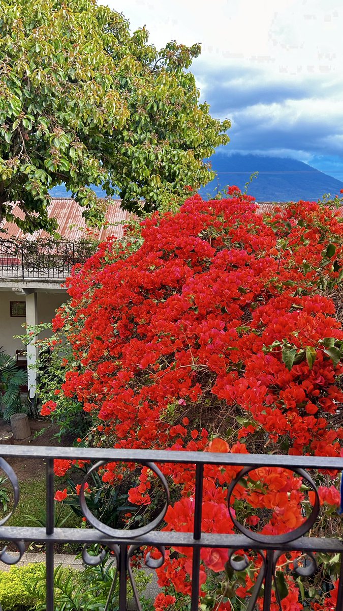 francellie de jesus tweet media