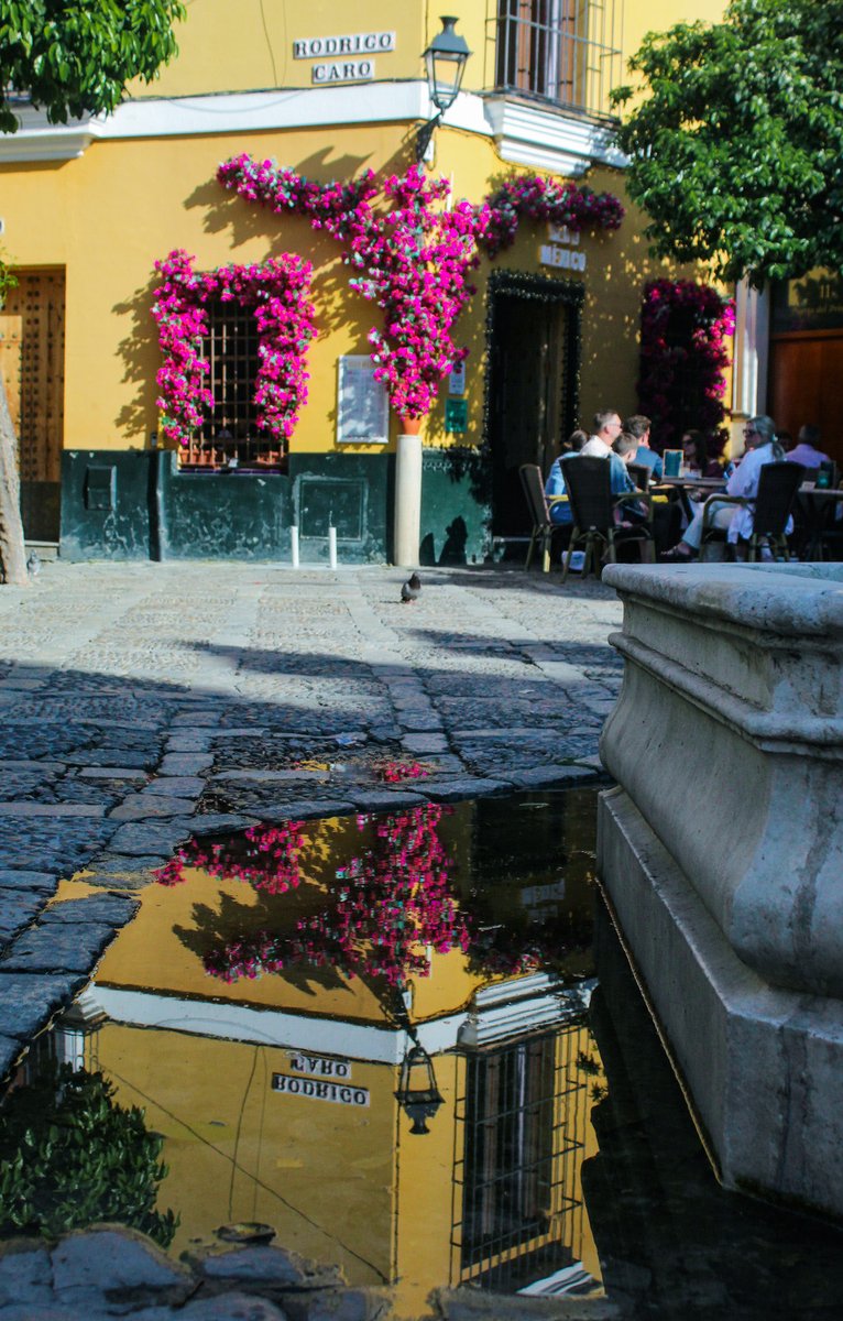 kaótica 🪬 tweet media