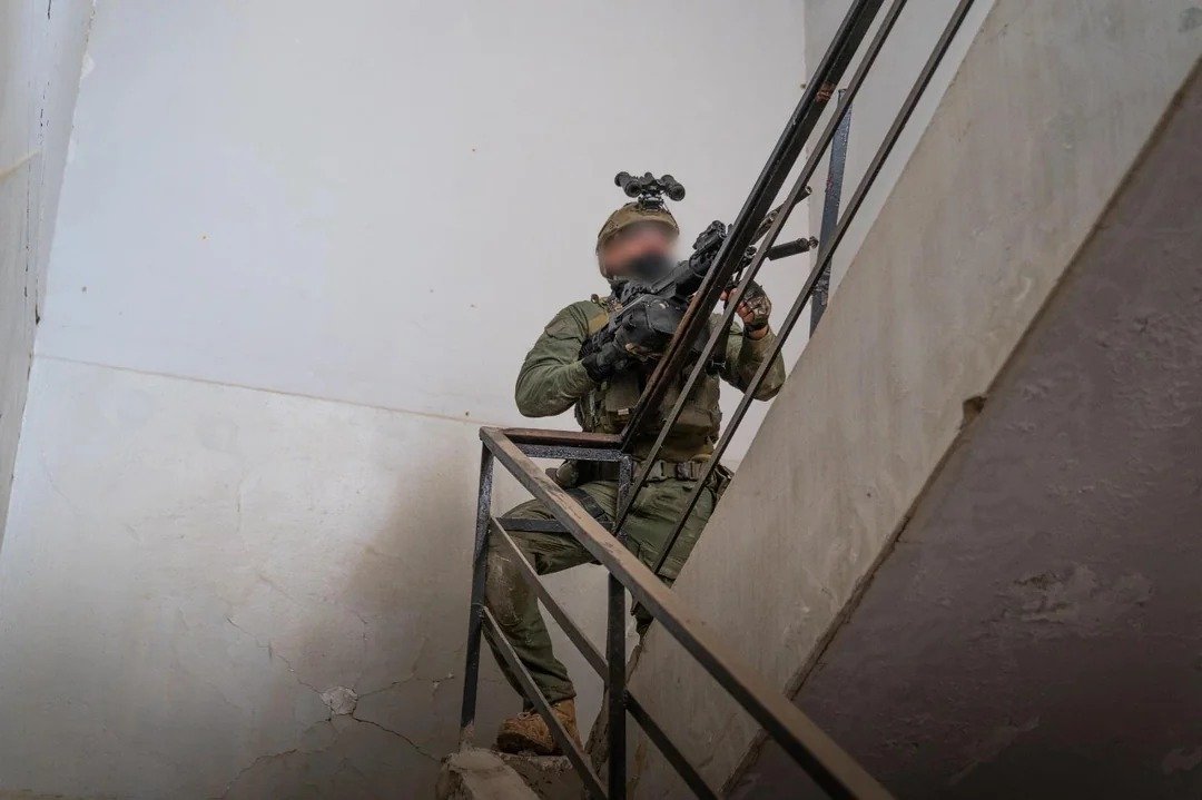 ZONA TÁCTICA tweet media