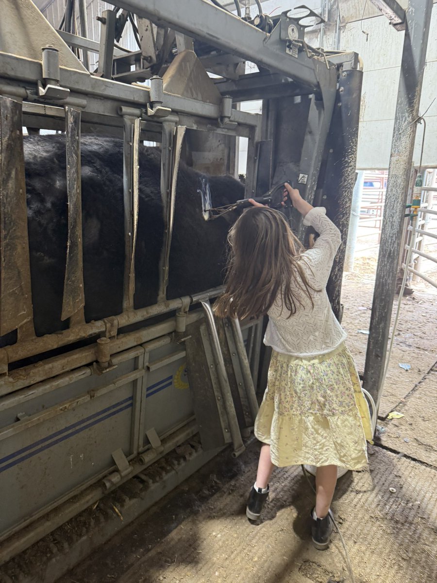 Courtney Koinzan tweet media