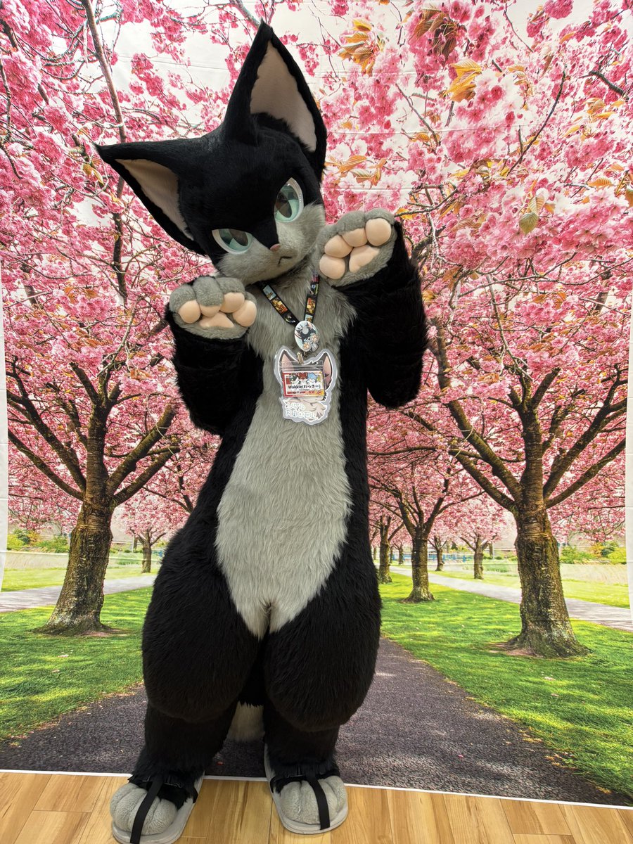 tiger19 / ボイメル tweet media