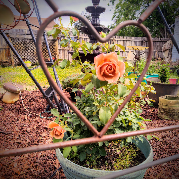 JusticeToAll ~ 🙏 🇺🇦 ⚖️ 🚀 tweet media