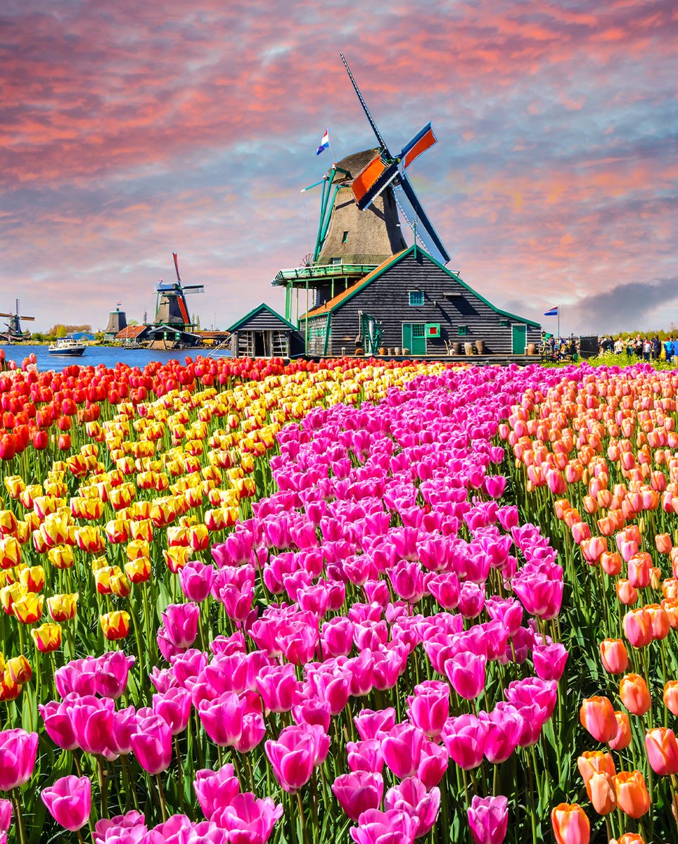 CAN Military Family tweet media