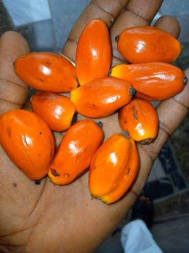 Asụsụ Igbo tweet media