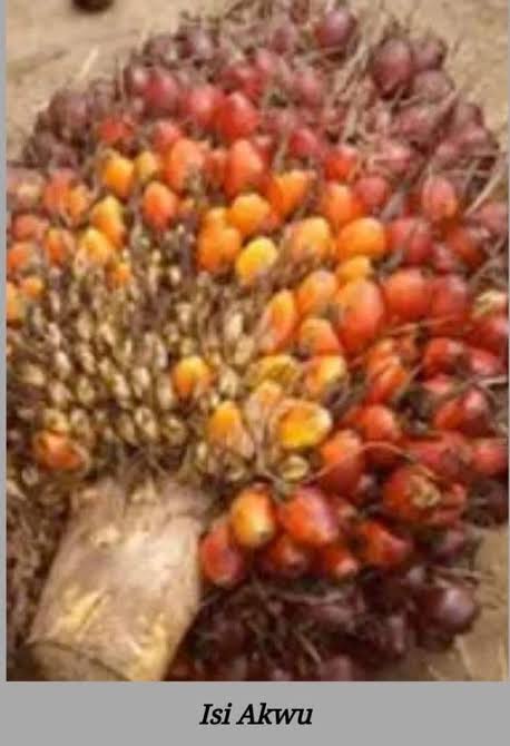 Asụsụ Igbo tweet media