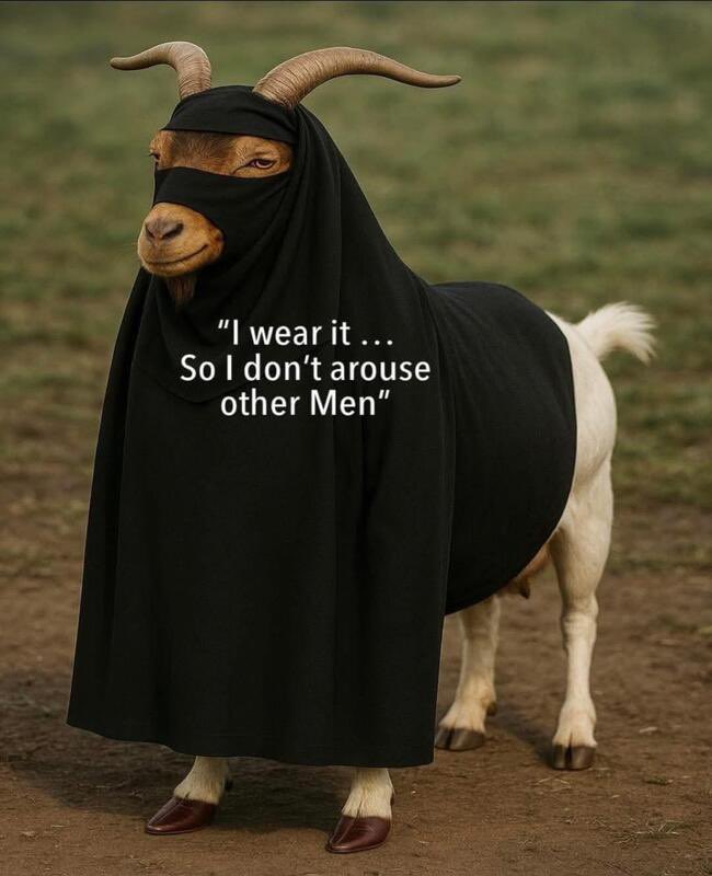 Dipak Patel tweet media