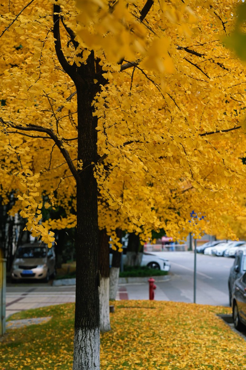 Teknodat tweet media