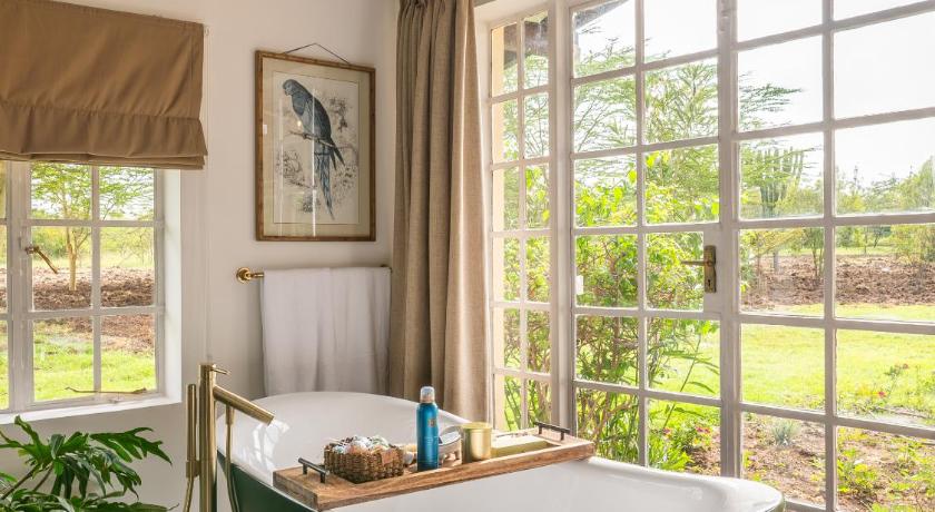 Perfect Strangers Safaris tweet media