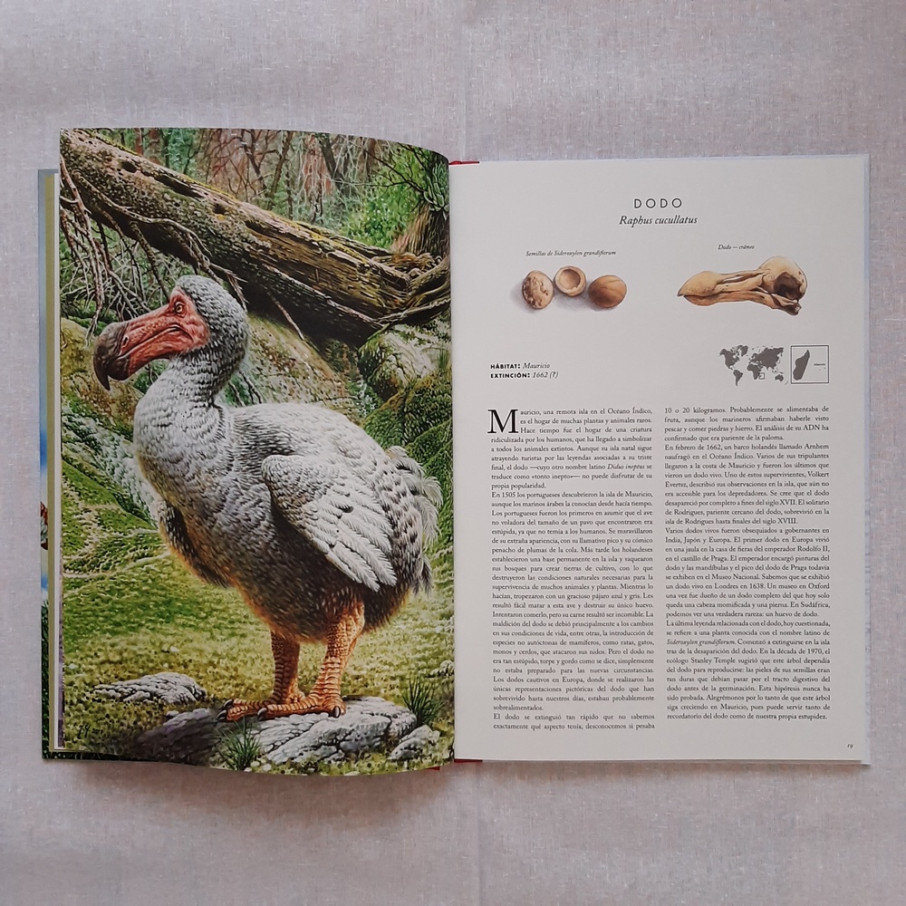 Koalaediciones tweet media