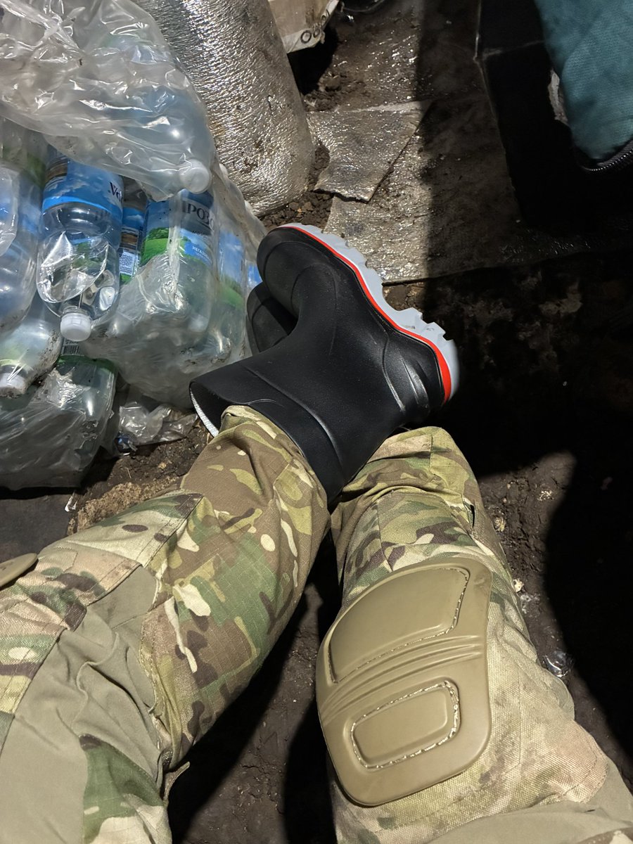 Охоронець кукурудзи tweet media