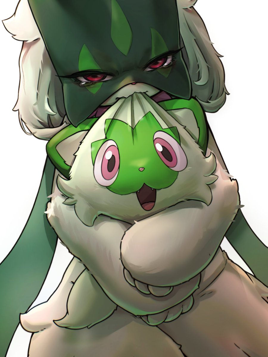 미미더(mimideu) tweet media