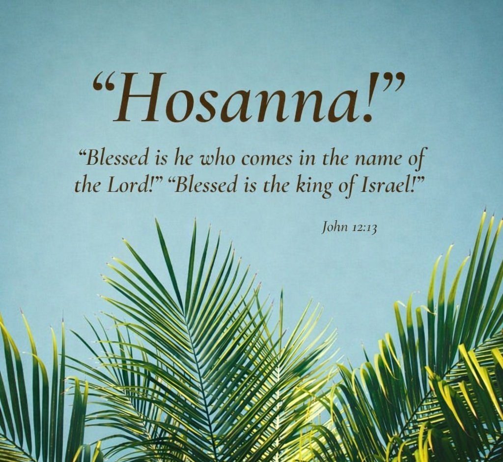 John 12:23