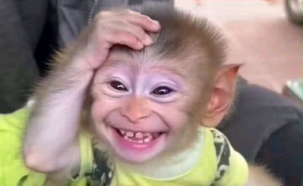 Supreme Crystal tweet media