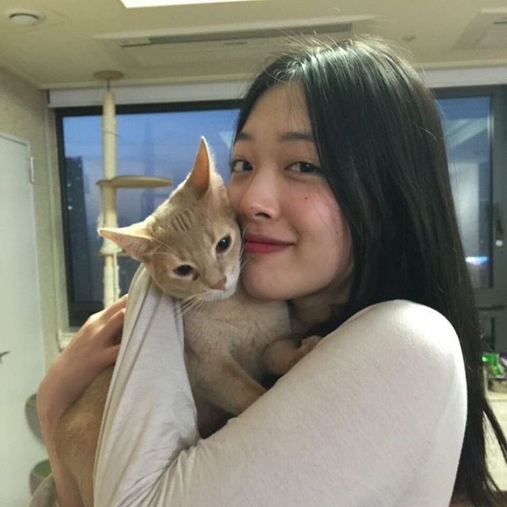 цéкотик tweet media