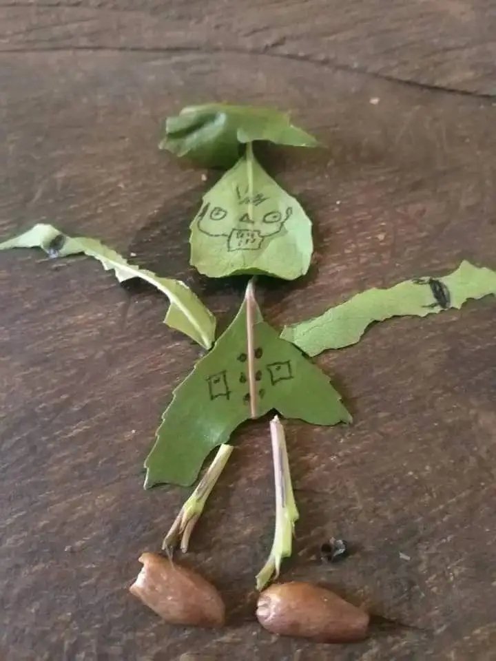 missedcall🌿 tweet media