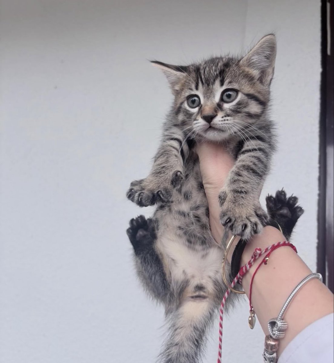 Pınar DİKMEN tweet media