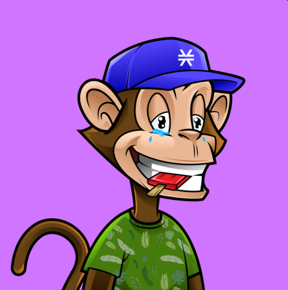 Bitcoin Monkeys tweet media