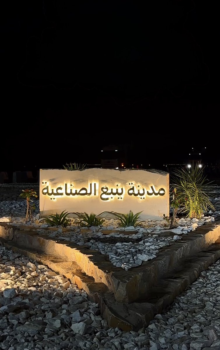 فاطمة الغامدي tweet media