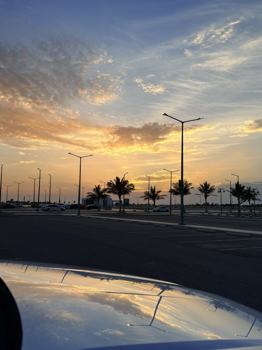 فاطمة الغامدي tweet media