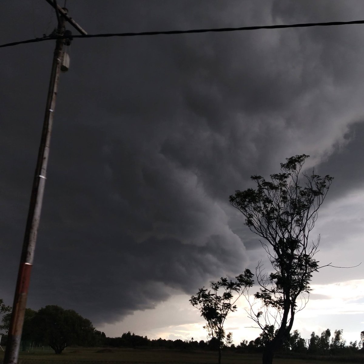 ReenvalSA tweet media