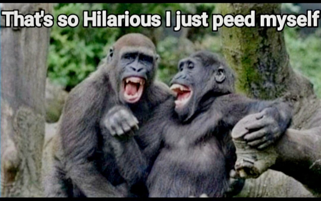 Terry Robinson tweet media