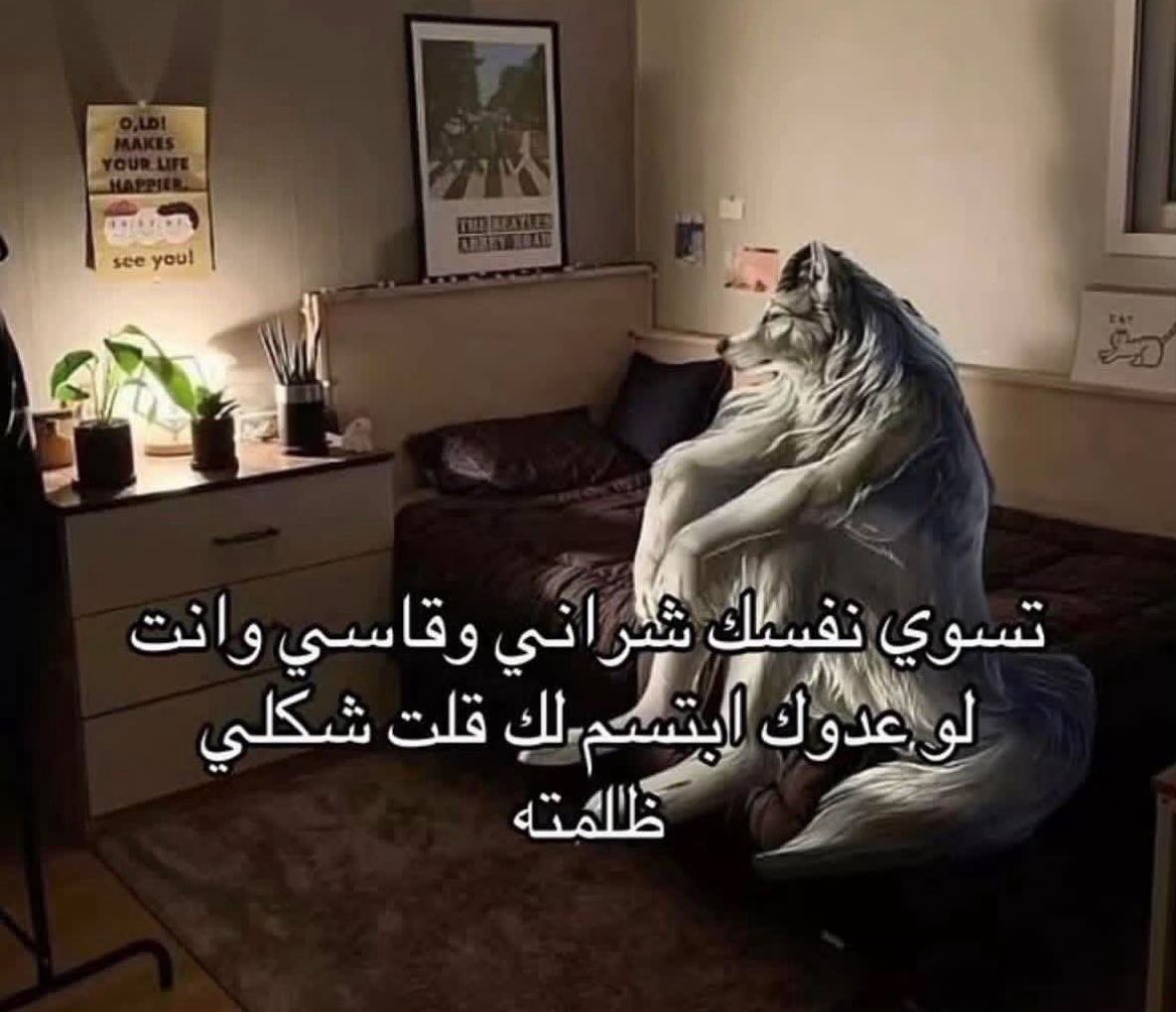 سماهر tweet media