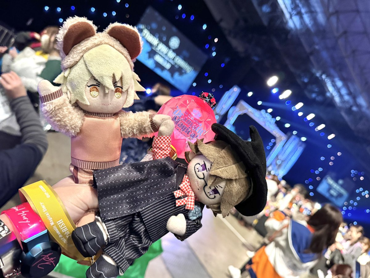 🐈ゆえ🐈 tweet media