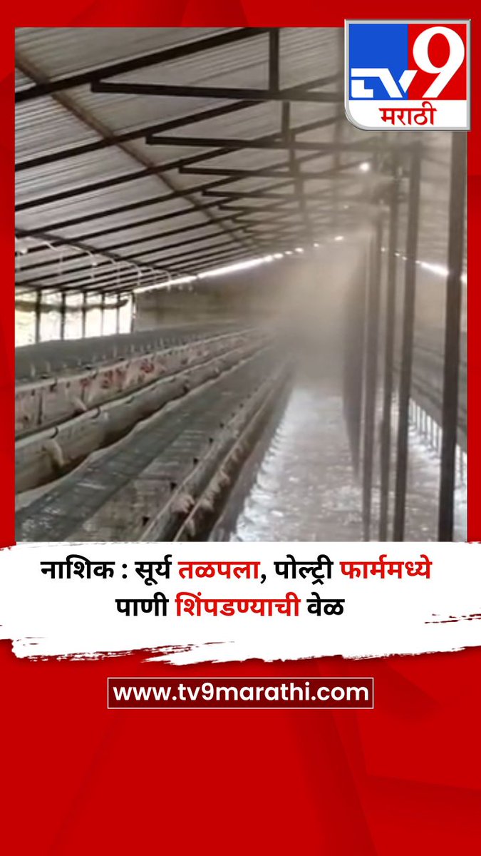 TV9Marathi's tweet image. नाशिक : सूर्य तळपला, पोल्ट्री फार्ममध्ये पाणी शिंपडण्याची वेळ  
tv9marathi.com/videos/short-v…
#nashik #temperature #PoultryFarms