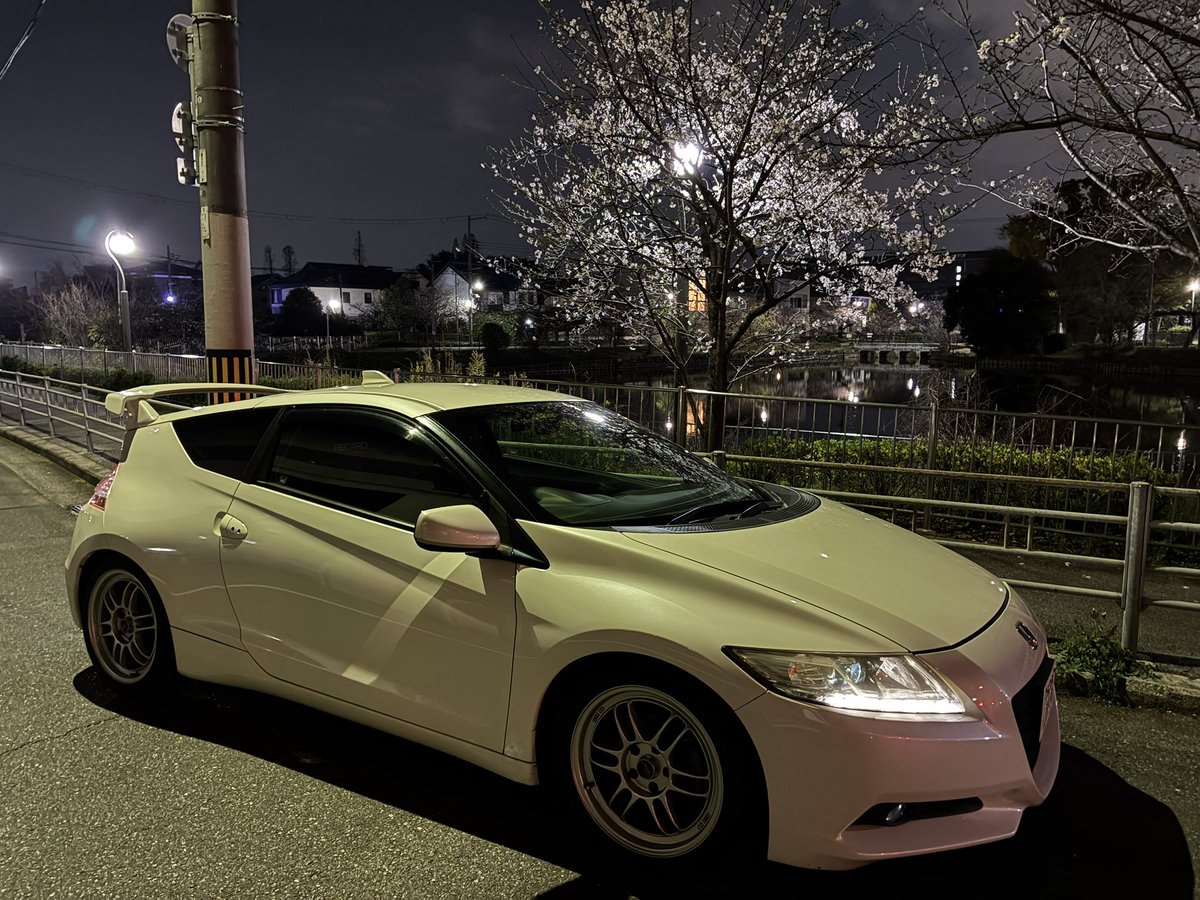 えっくす tweet media