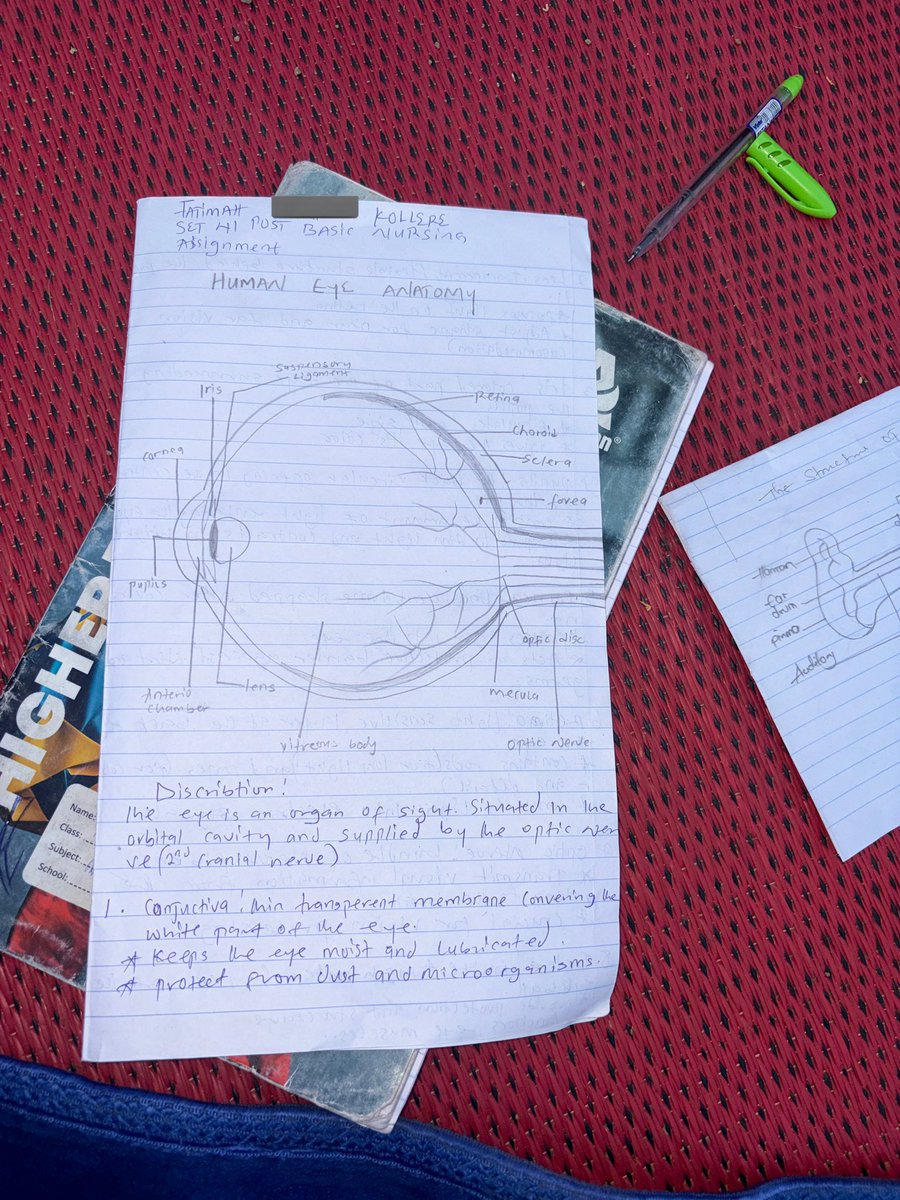 Anty phaty 🌝 tweet media