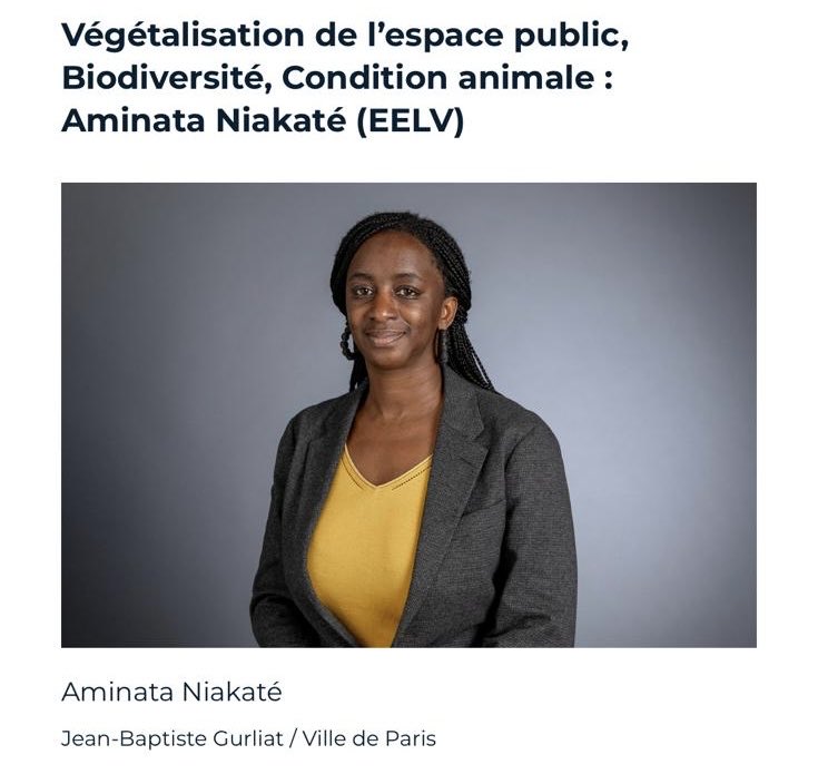 Aminata Niakate 🌻🍉 tweet media