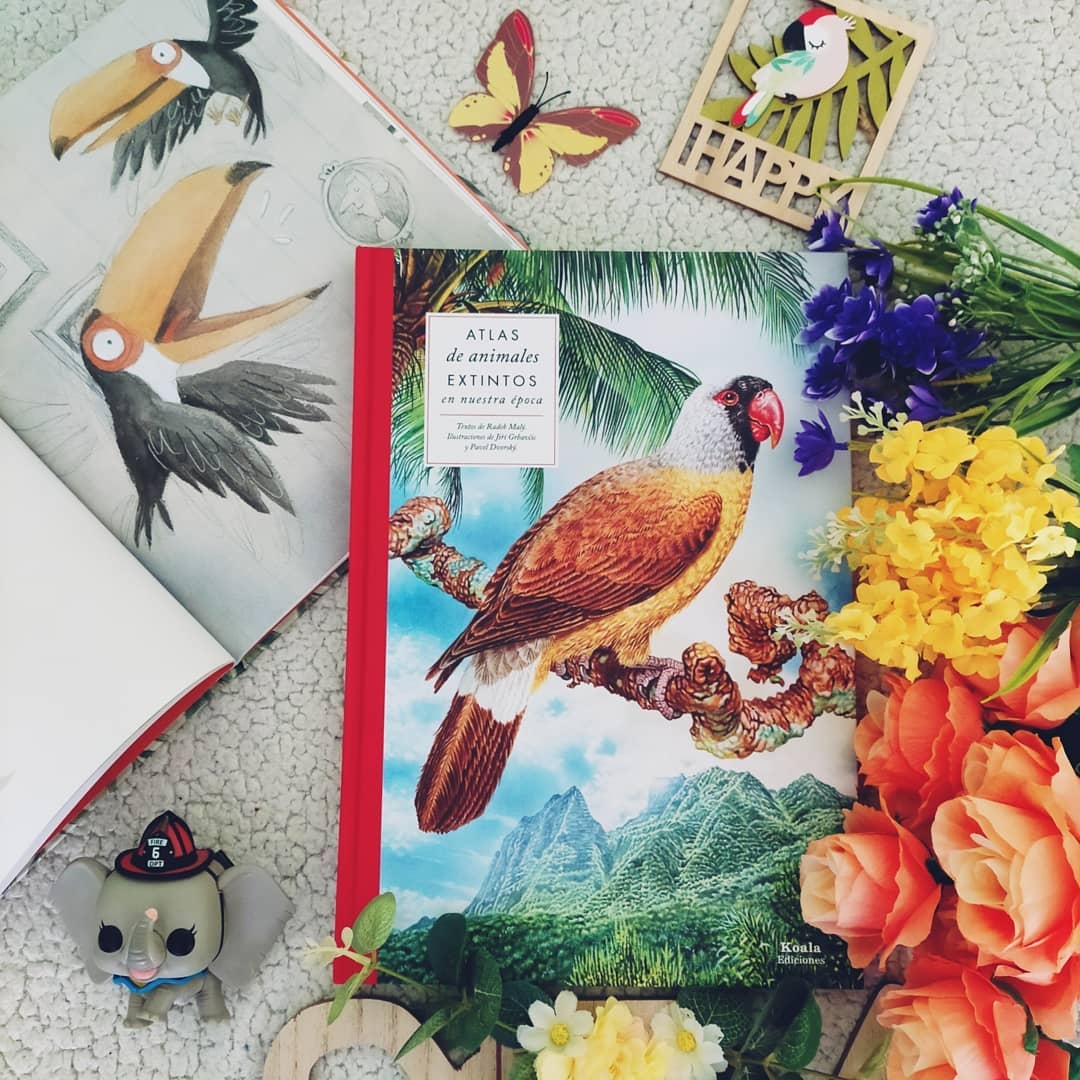 Koalaediciones tweet media