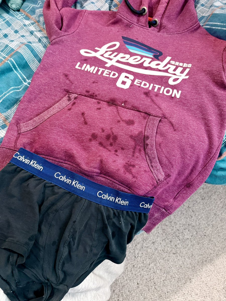 Cobi 🐾 🔜 Club Locked tweet media