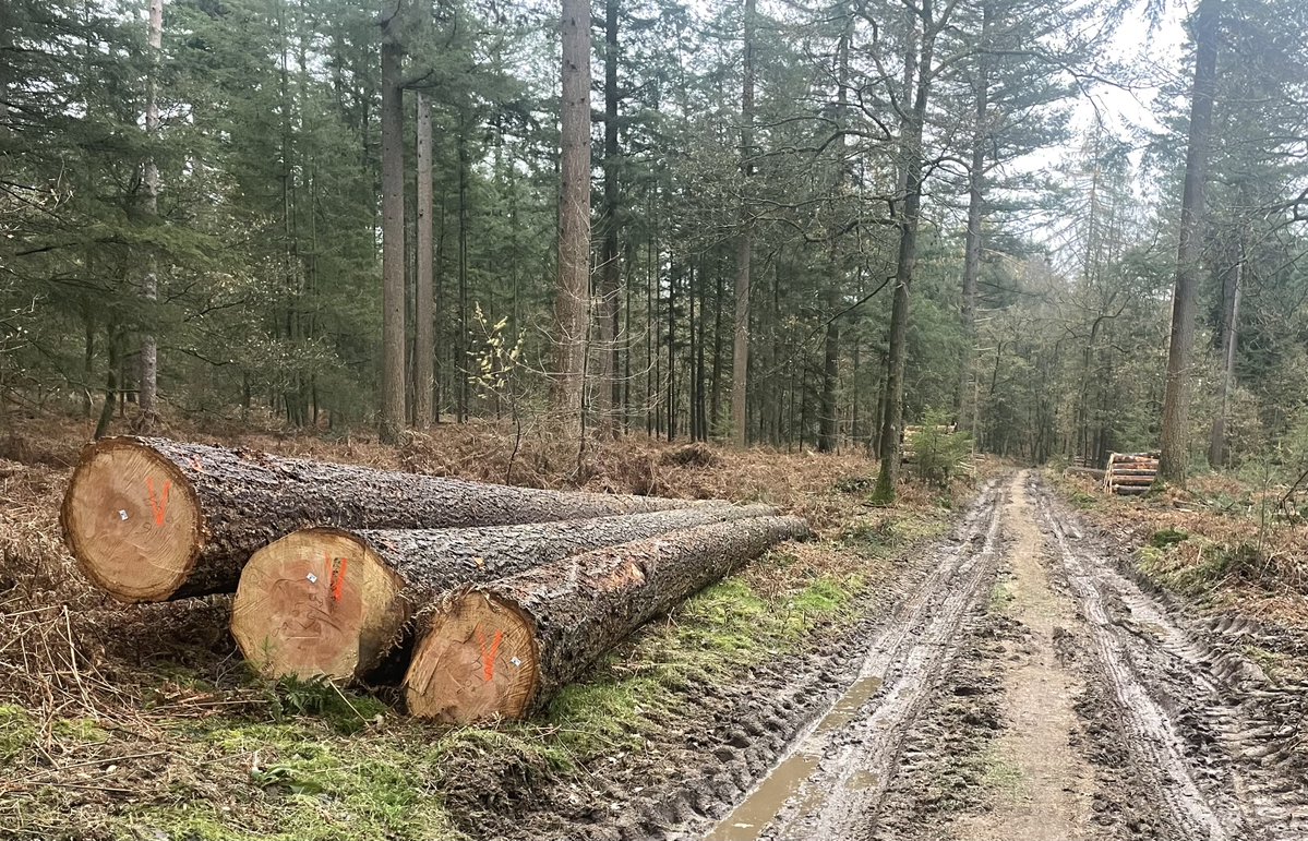 Anton Pluim 🇳🇱🚜🚘 tweet media