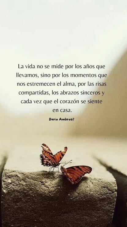 ཐིཋྀ 𝕻𝖆𝖙𝖗𝖞𝖘𝖍𝖆 𓆩♡𓆪٠࣪⭑❀˖° tweet media