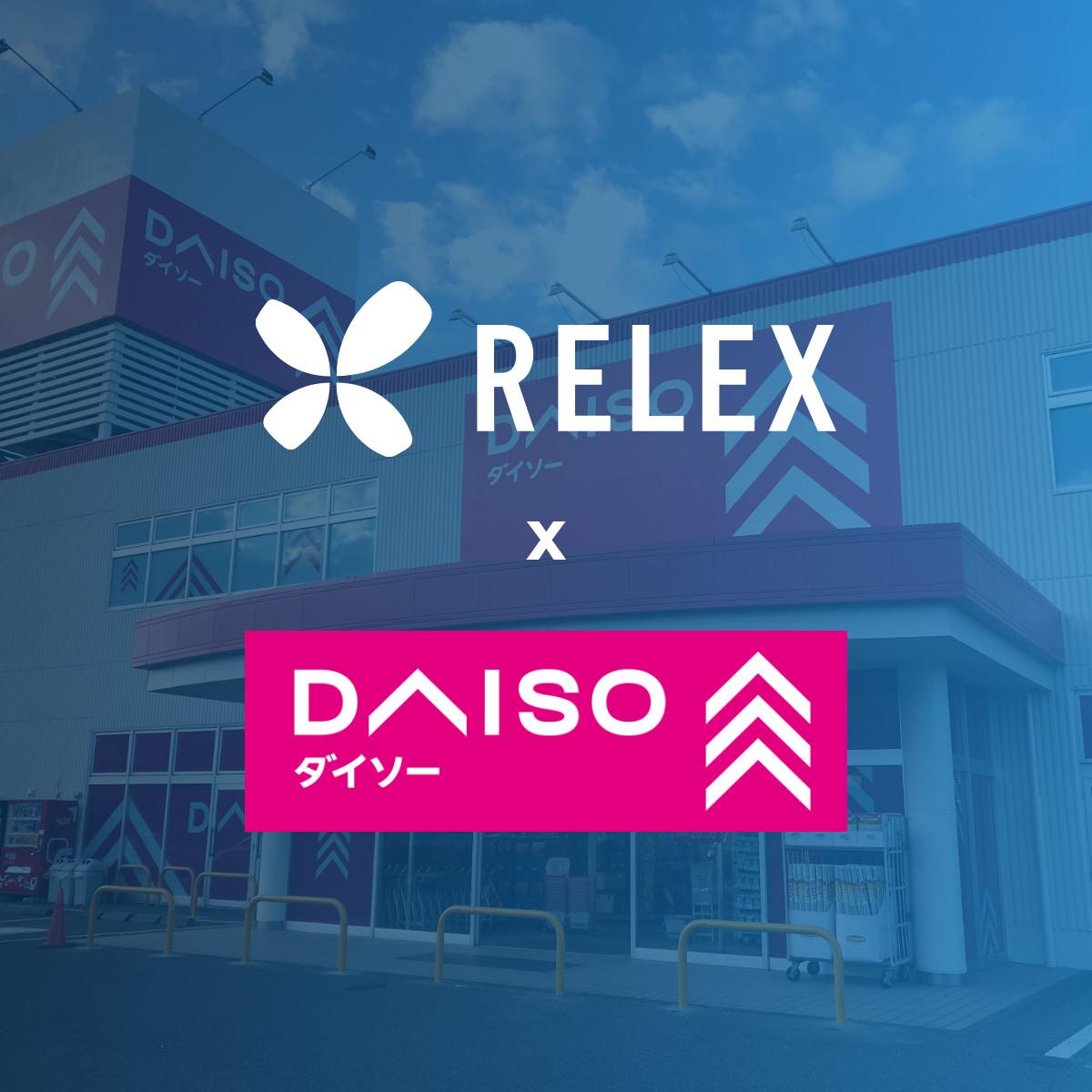 David Marcos tweet media