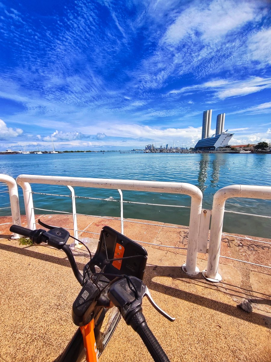 rosto de leque 🪭 tweet media