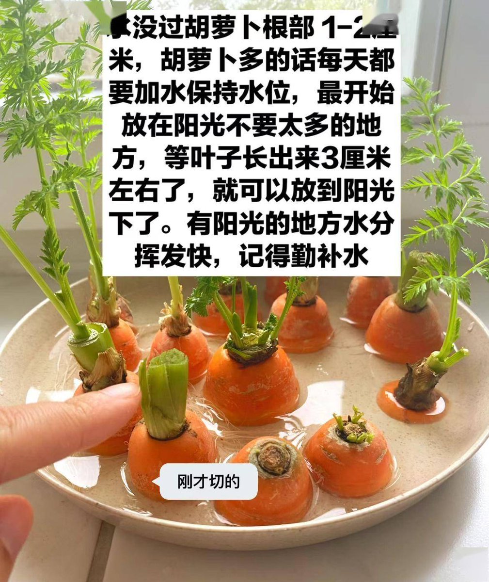 Kirankumarbnvr tweet media