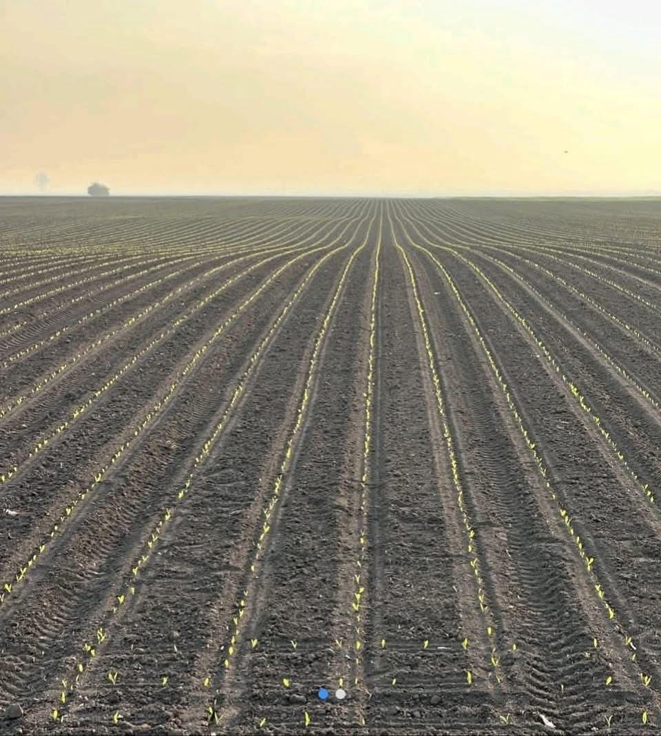 Farm With Fred tweet media