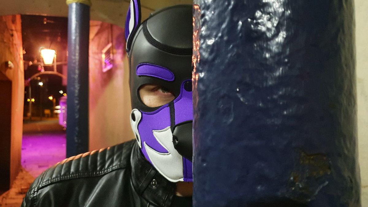 Scruffy Daxx tweet media