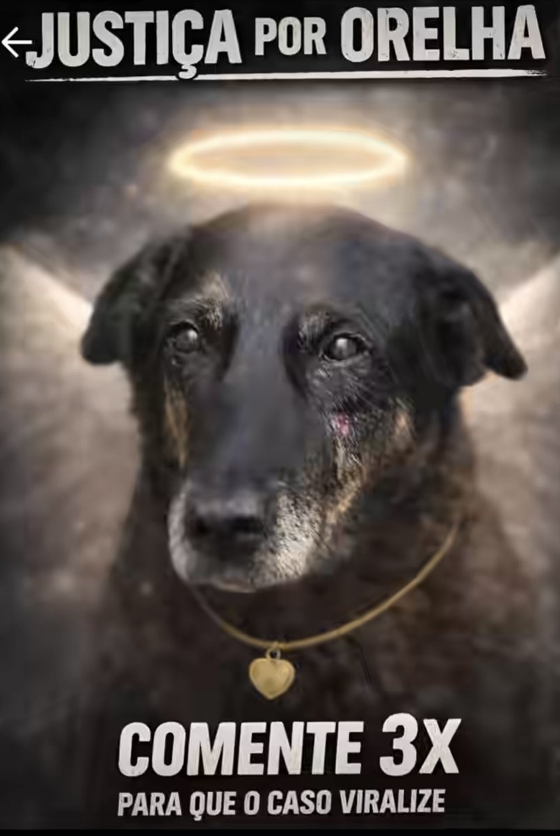 Marco Valverde ® tweet media