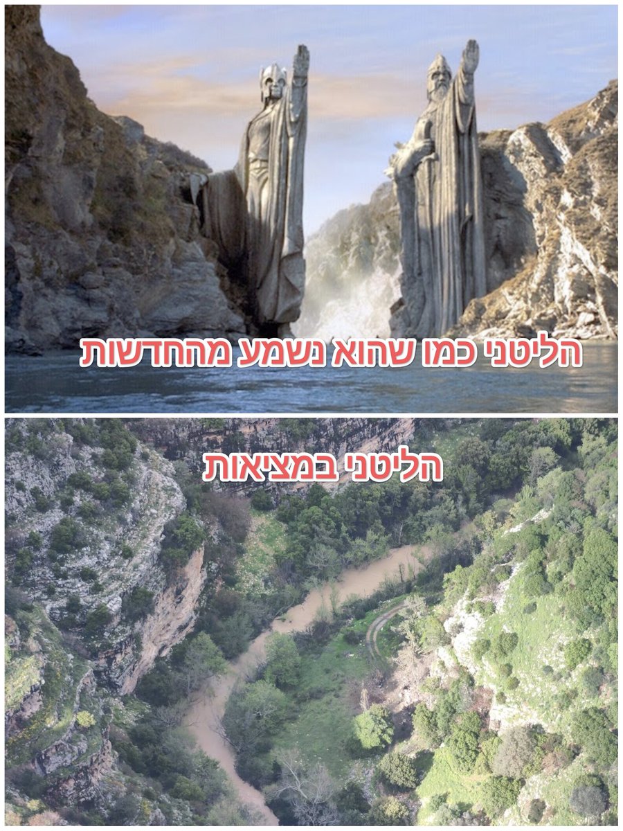 Roni Eitan tweet media