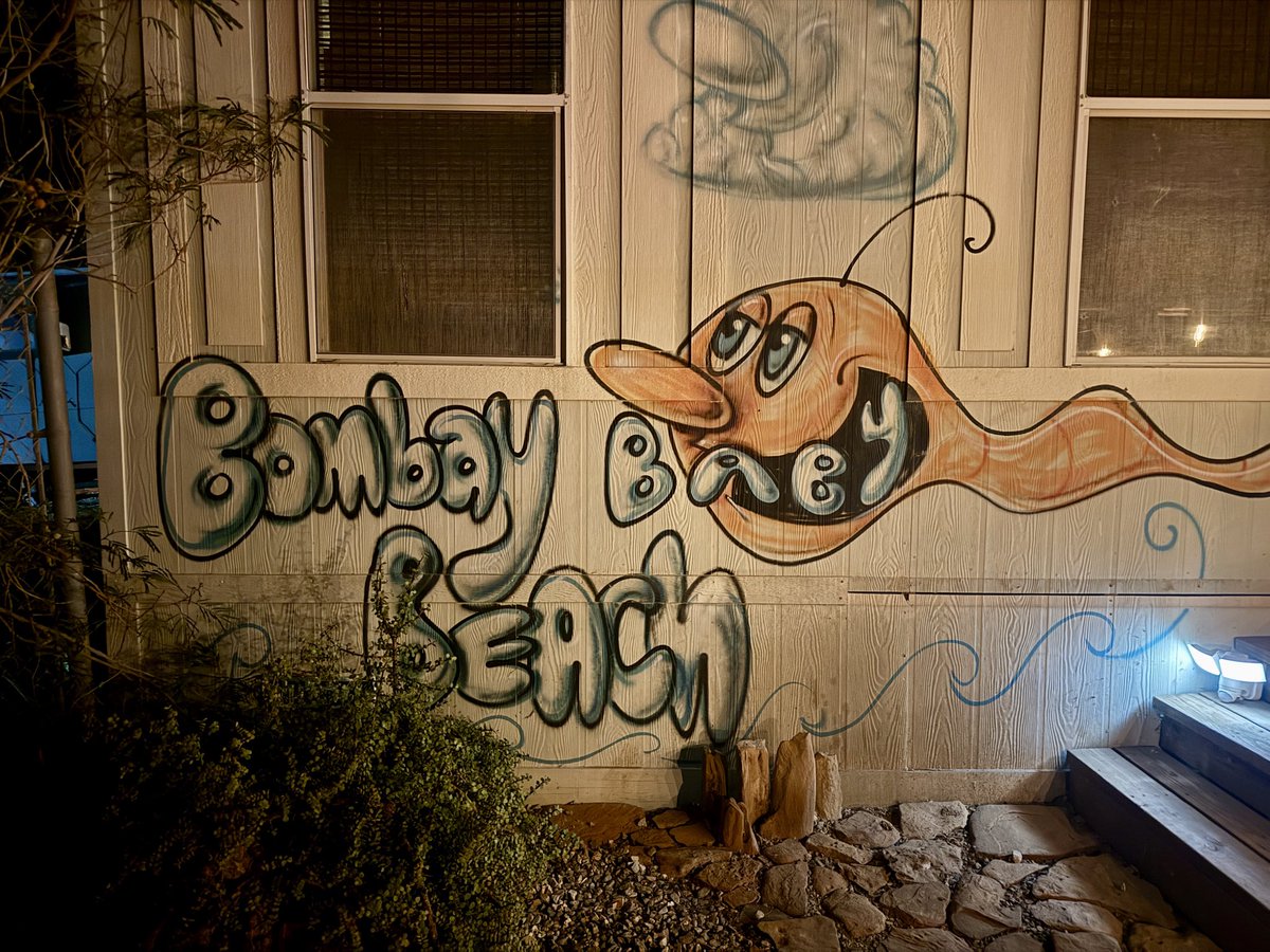 braxton pope tweet media